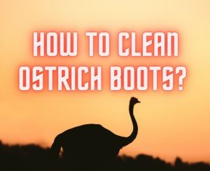 Read more about the article 5 Steps of How to Clean Ostrich Boots Like a Pro