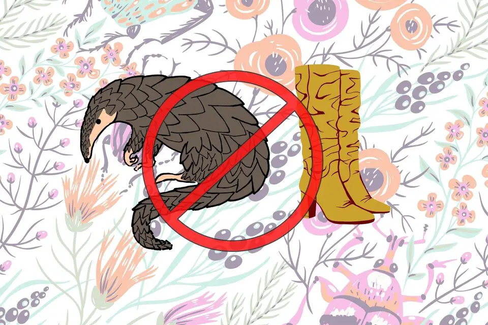 why are pangolin cowboy boots banned