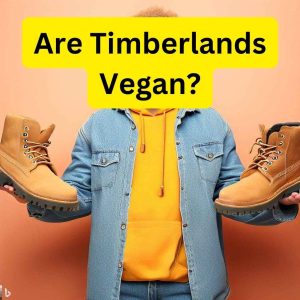 Read more about the article Are Timberlands Vegan? Exploring the Animal-Friendly Side of this Iconic Brand